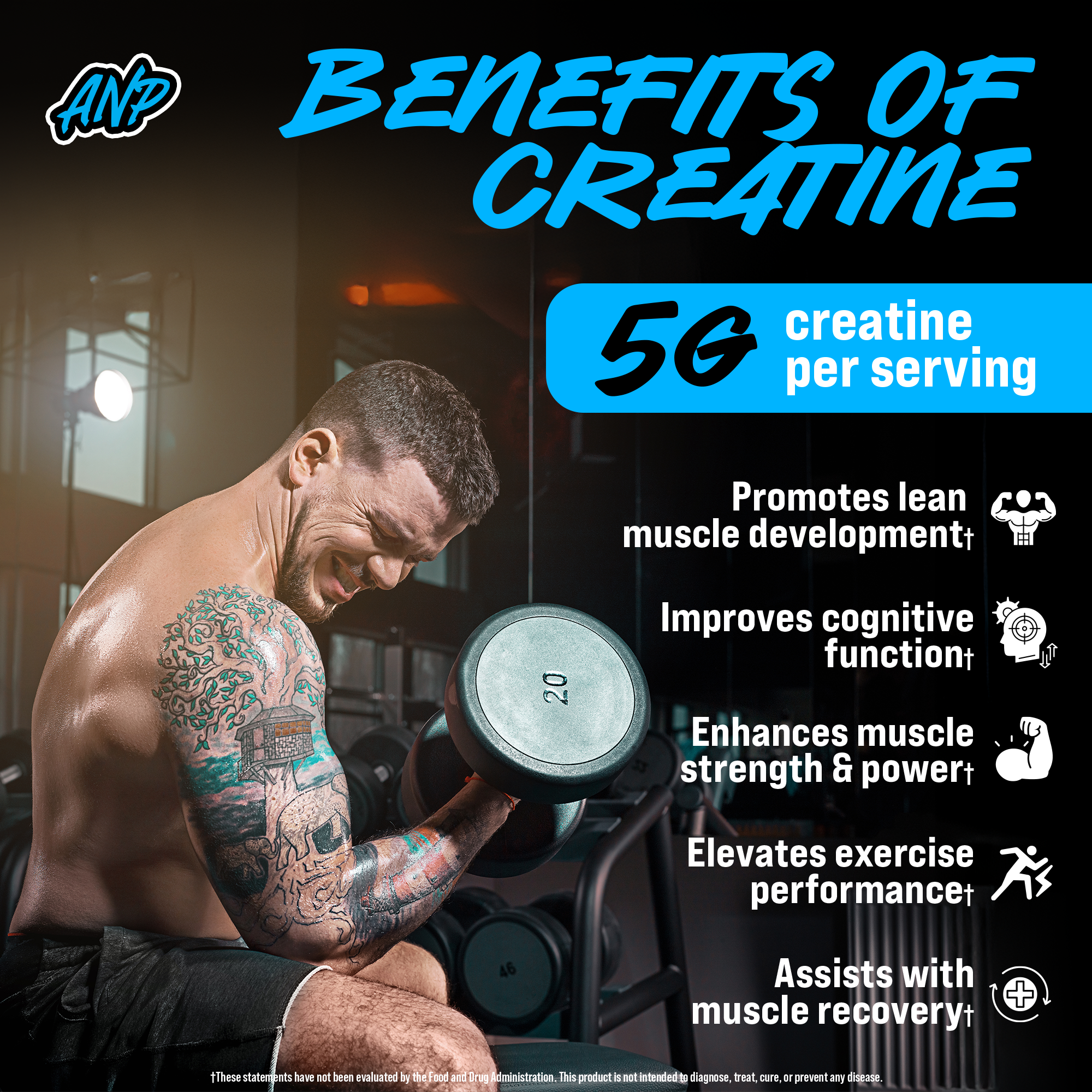 Creatine Monohydrate Gummies – Sugar-Free, Vegan, Gluten-Free – Sour Raspberry Lemonade Flavor – 30 Servings (120 Gummies) – Alpha Nutrition Power Supplements – Healthcare Muscle – Fitness Dietary – Optimum