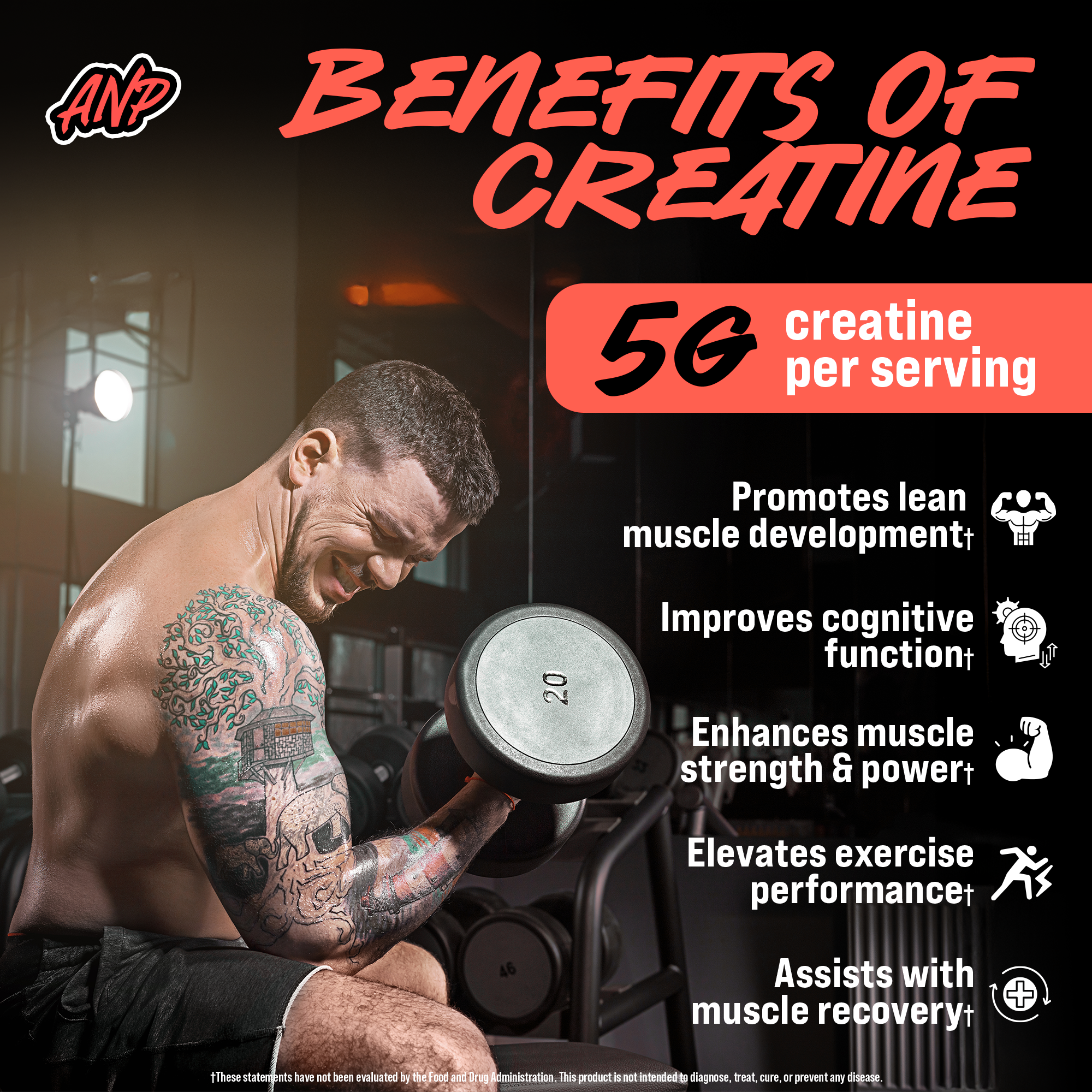 Creatine Monohydrate Gummies 5g - Strawberry-Watermelon Flavored Creatine for Men and Women - Alpha Nutrition Power Supplement for Lean Muscle Growth, Energy, Pre and Post Workout, Focus & Cognition, Recovery, (120 Gummies)